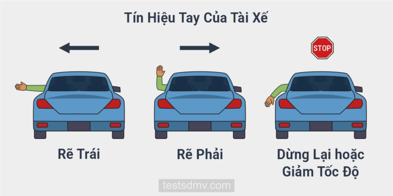 Hình minh họa ba tư thế ra hiệu bằng tay của tài xế ô tô từ cửa sổ bên trái để báo hiệu rẽ trái, rẽ phải và dừng lại hoặc giảm tốc độ.